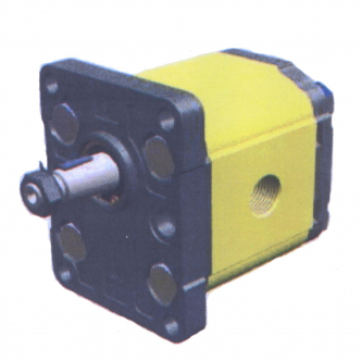 Gear pump XV2P 4